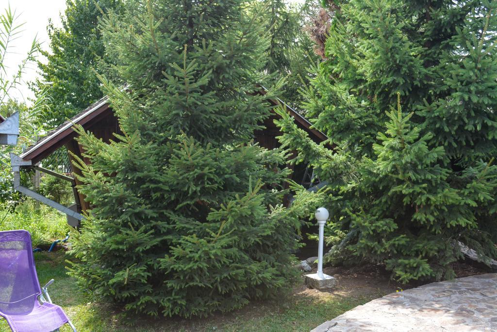 Camping Robinson Country Club Oradea Luaran gambar