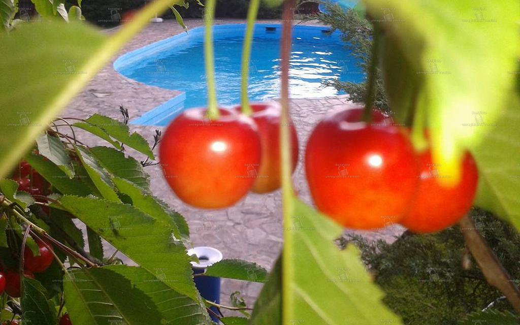 Camping Robinson Country Club Oradea Luaran gambar